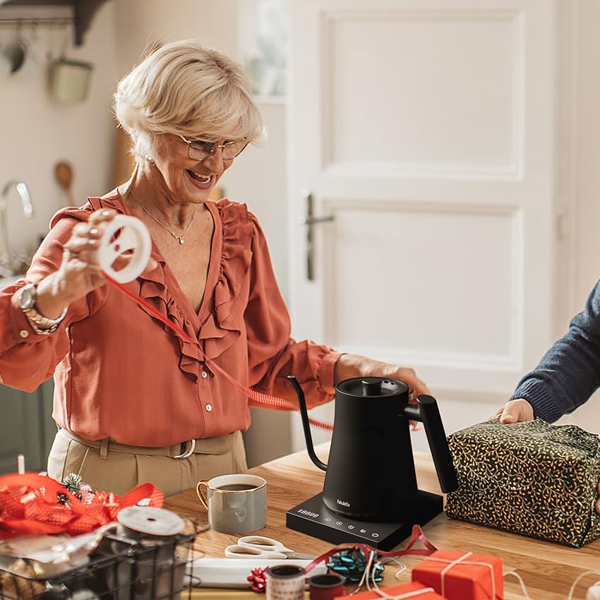 Fabuletta Electric Gooseneck Kettle