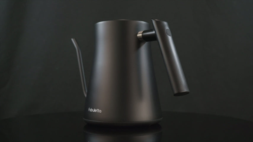 Fabuletta Electric Gooseneck Kettle