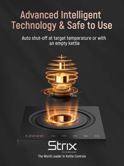 Fabuletta Electric Gooseneck Kettle