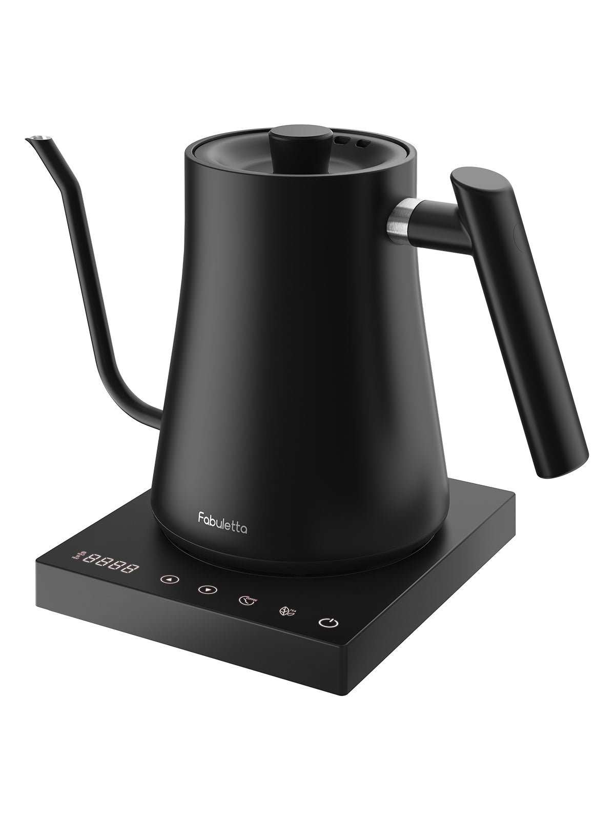 Variable Temperature Electric Kettle, 1500W Electric Tea Kettle